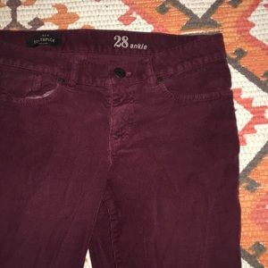 J crew pants
